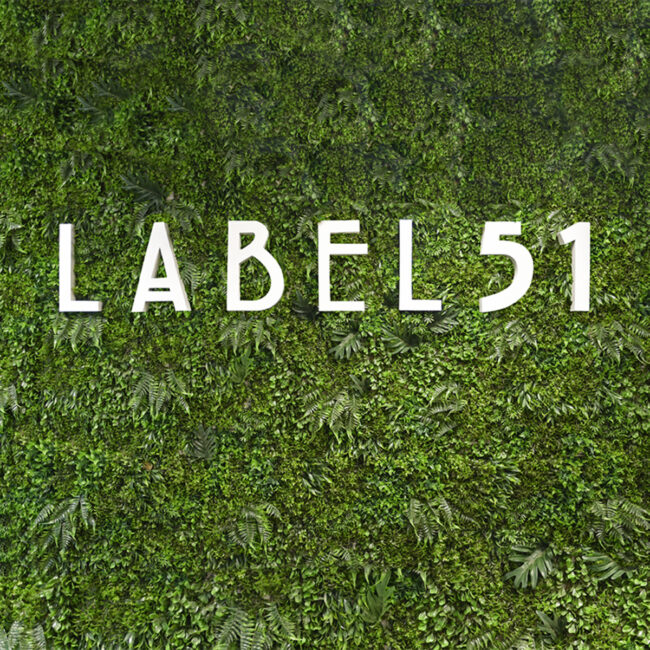 LABEL51 Wanddekorationspaneel - Grün - Kunststoff - DS-54.000