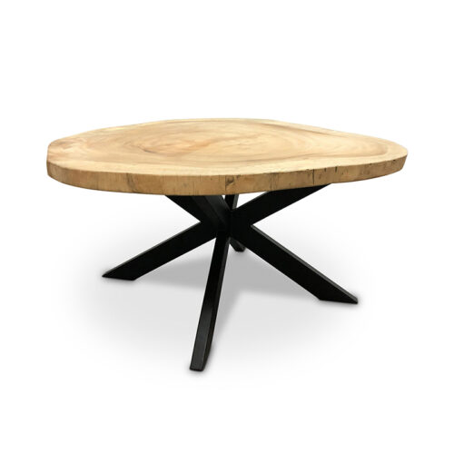 Baumstammtisch Suar – Suar-Holz – U/X-Bein – 300 cm – WGXL-Kollektion – Wiegers XL meubels en tuinmeubelen