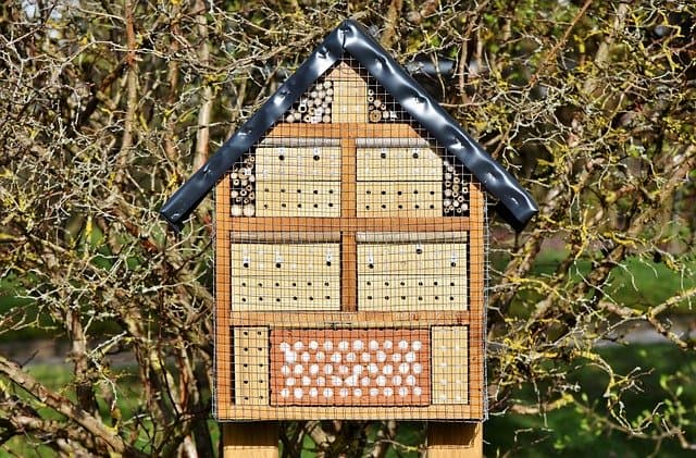 Insecten hotel